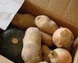 鶏じゃが作り方1写真