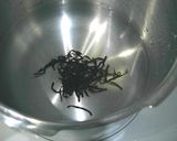 旨みたっぷり♪ふじっ子おでん作り方2写真