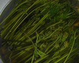 手間なし！簡単ワラビの下ごしらえ作り方3写真
