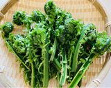 こごみの塩ゆで　わさび醤油などで作り方1写真