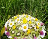 豆乳で作る野の花ミルクレープ作り方9写真