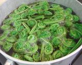 コゴミ（クサソテツ）のおひたし作り方6写真