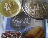 簡単もやし春巻き作り方1写真