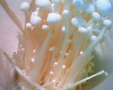 大根とえのきの中華スープ♪作り方2写真