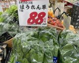 簡単20分⭐︎ほうれん草のくたくた煮パスタ作り方9写真