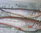 白身魚のから揚げ♪～ﾛｰｽﾞﾏﾘｰ風味～作り方1写真