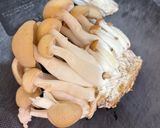 チキンと細ねぎのデリ風中華サラダ作り方1写真