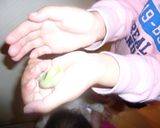 そら豆の塩茹作り方4写真