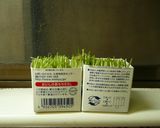 豆苗とたまごのスープ（和・洋・中）作り方9写真