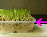 豆苗とたまごのスープ（和・洋・中）作り方10写真