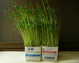豆苗とたまごのスープ（和・洋・中）作り方12写真