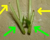 豆苗とたまごのスープ（和・洋・中）作り方14写真