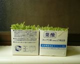 豆苗とたまごのスープ（和・洋・中）作り方13写真