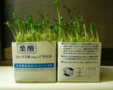 豆苗とたまごのスープ（和・洋・中）作り方15写真
