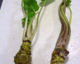 山葵の醤油漬け作り方1写真