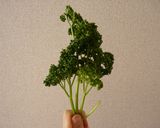 真鯛のポワレ✿レモンパセリのソース作り方1写真