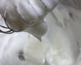 たこのフリッター作り方7写真