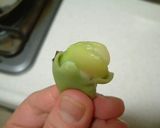そら豆のゆで方作り方4写真
