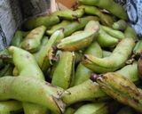 そら豆の保存方法作り方1写真