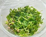豆苗とツナの無限レンジおひたし作り方3写真