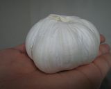 四日市名物！我が家のスタミナとんてき☆作り方1写真