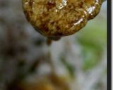 焼肉のタレでバンバンジー風作り方20写真