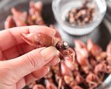 美味しいホタルイカのための大切な下処理作り方1写真