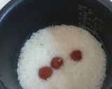 『かにちゃいまっせ押し寿司』作り方1写真