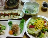 冷やし餃子作り方5写真