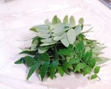 ◆◇木の芽(山椒)ご飯の素♪簡単保存◇◆作り方1写真