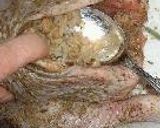 すごくおいしい！ローストチキン２００３作り方8写真