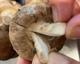 茸のガーリックオイルソテー🍄‍🟫作り方1写真
