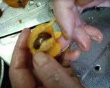 大量消費&保存に!びわのドライフルーツ作り方5写真