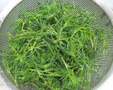 おかひじきの胡麻昆布茶和え作り方1写真