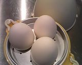 お酒がすすむ味たまご作り方1写真