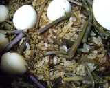 わらびと昆布（佃煮）の炊き込みご飯作り方8写真