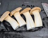 エリンギの肉巻き☆オーブン焼き作り方1写真