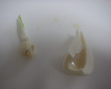 基本のトマトソース（作り置き用）作り方1写真