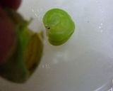 そらまめパエリア作り方8写真