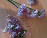 チャイブの花をお豆腐のお薬味に作り方1写真