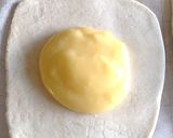 乗せるだけ!簡単フルーツパイ作り方3写真