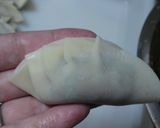 自宅で簡単♪本格焼き餃子　作り方5写真