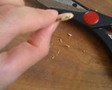かぼちゃの種 再利用♡パンプキンシード作り方3写真