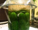 ハンガリー風発酵ピクルス作り方5写真