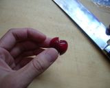 綺麗☆アメチェの梅シロップ作り方3写真