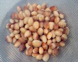 虎とらtora豆煮作り方5写真