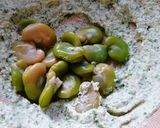 空豆の緑の白和え作り方8写真