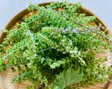 シソの実の塩漬け　さっと茹でる作り方作り方1写真