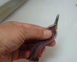 いわしの手開き☆作り方4写真