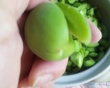 梅エキス作り方4写真